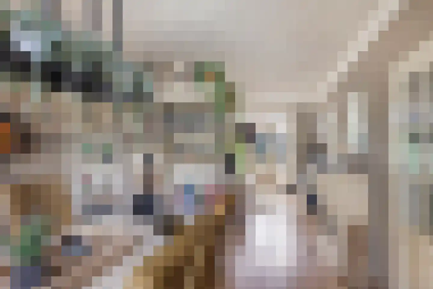 Proveniersblok 48 Bergen op Zoom thumbnail 10