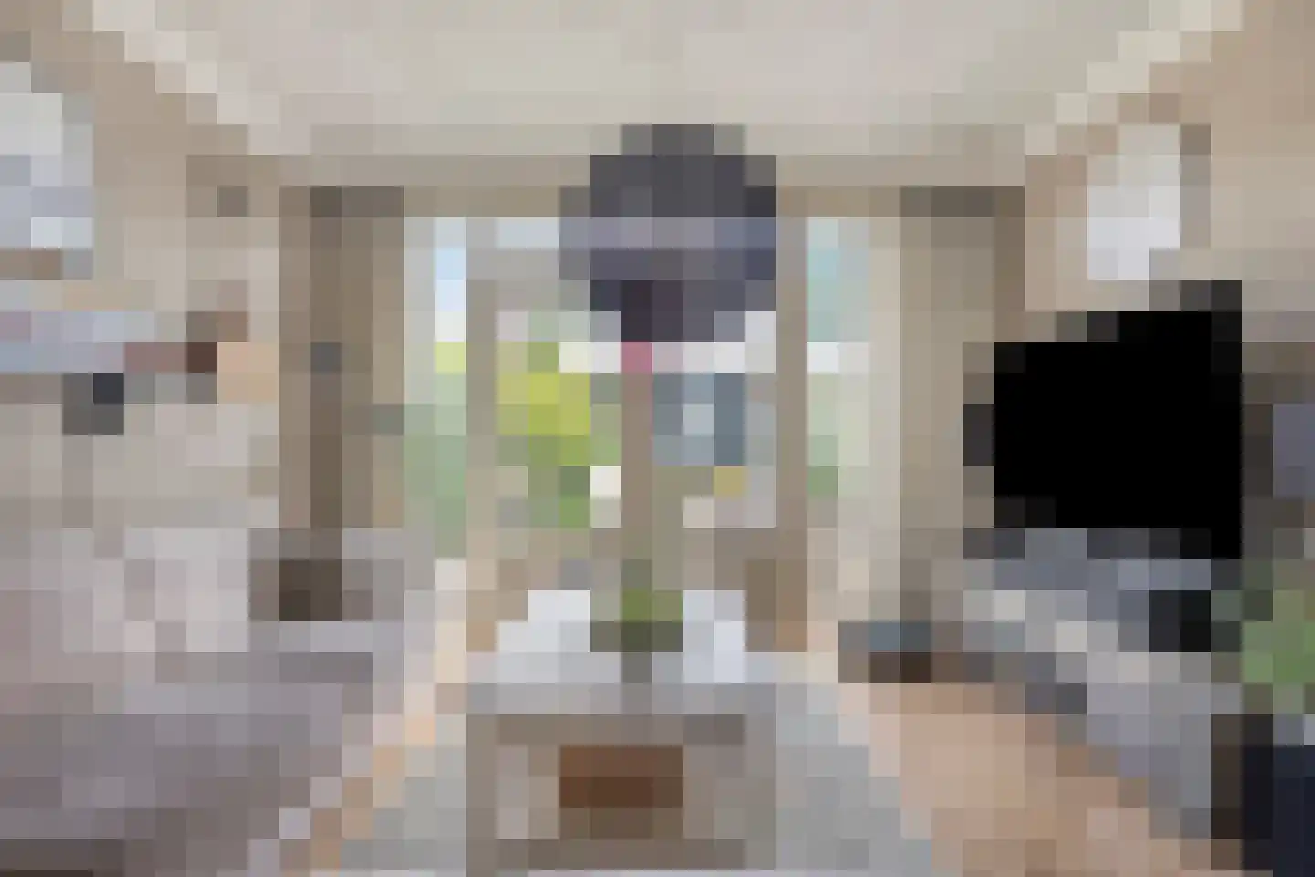 Proveniersblok 48 Bergen op Zoom thumbnail 11