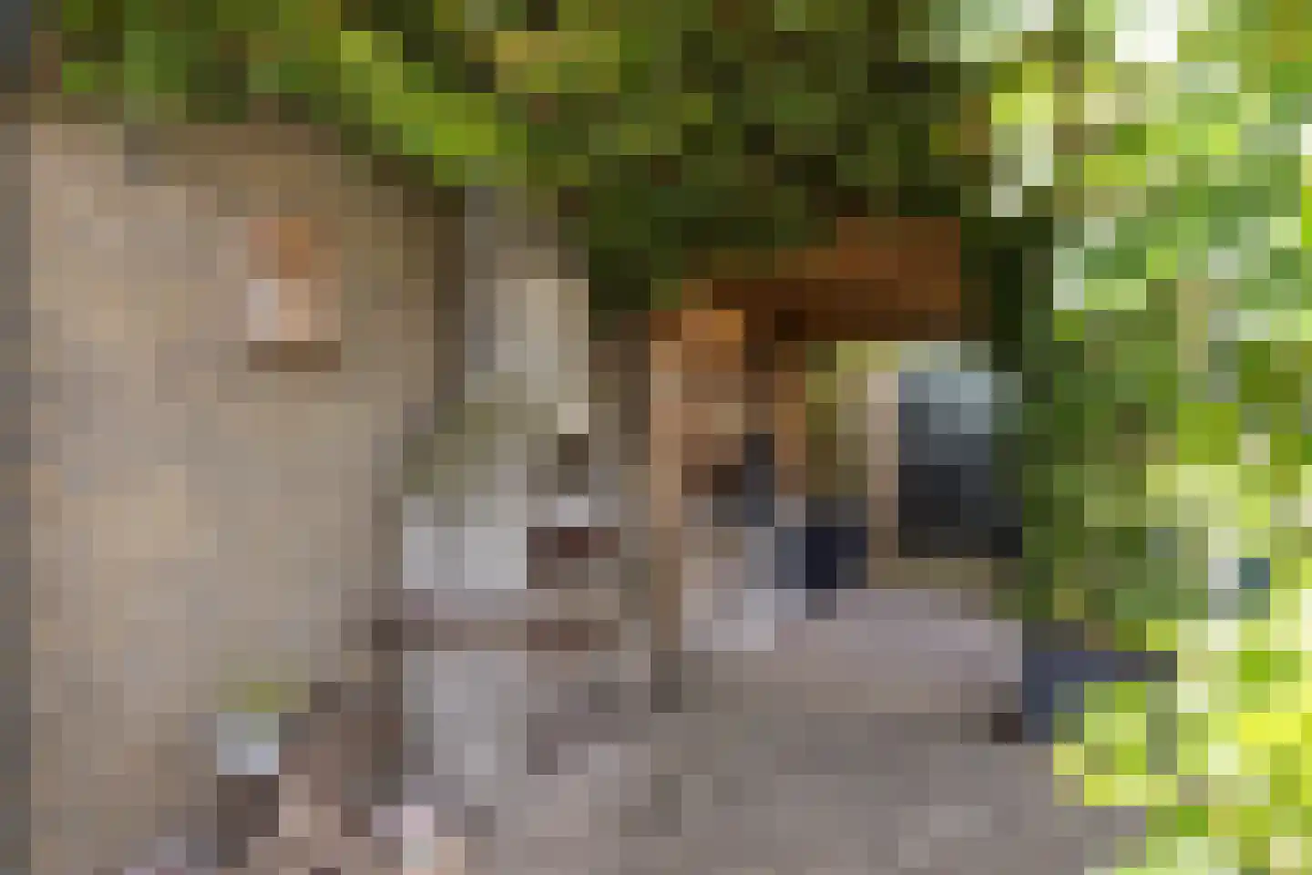 Proveniersblok 48 Bergen op Zoom thumbnail 30