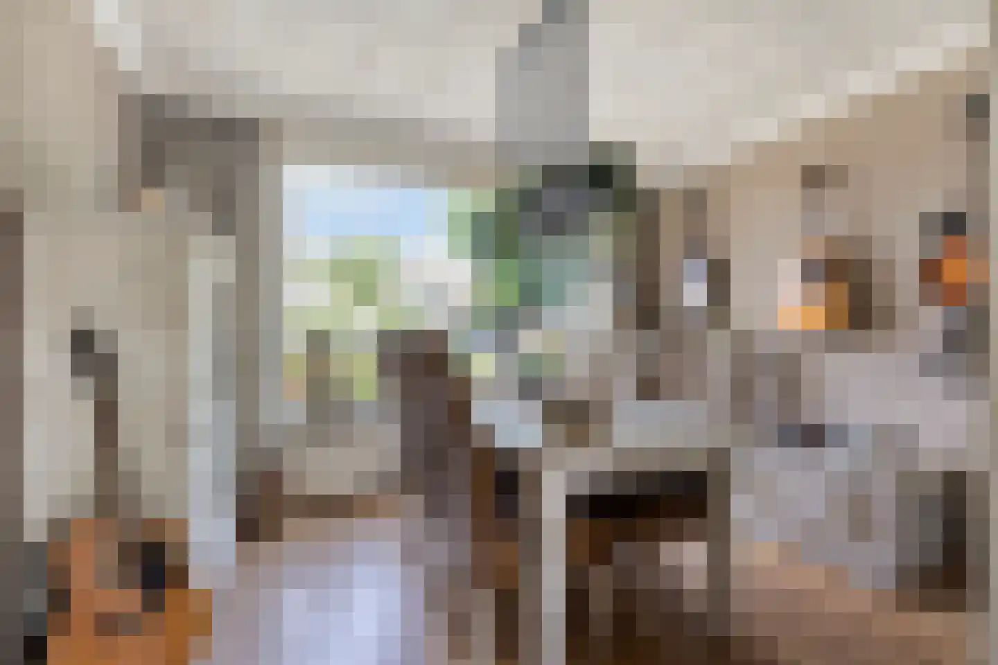 Proveniersblok 48 Bergen op Zoom thumbnail 9