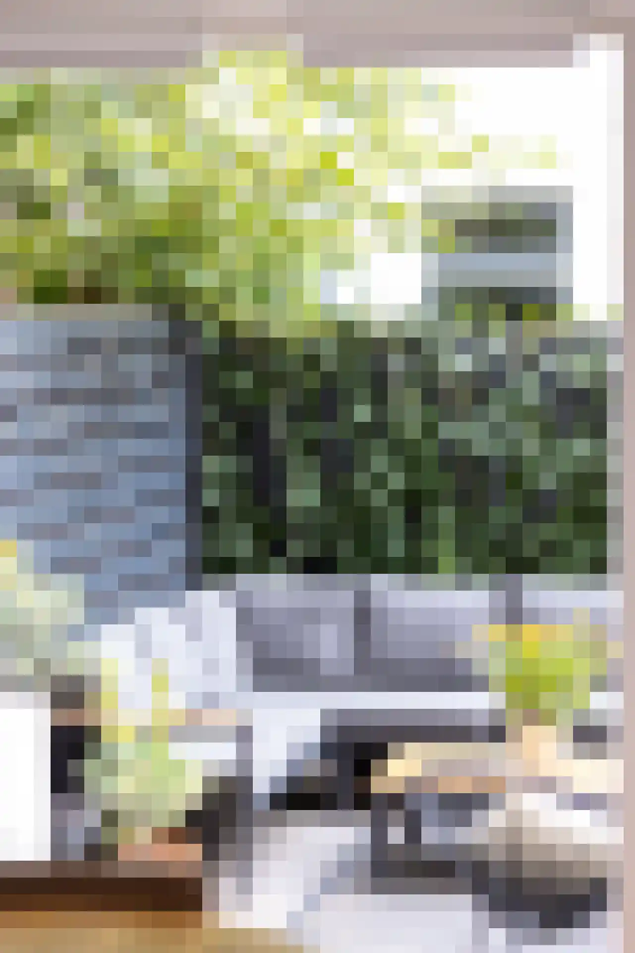 Provenierssingel 18 A Rotterdam thumbnail 39