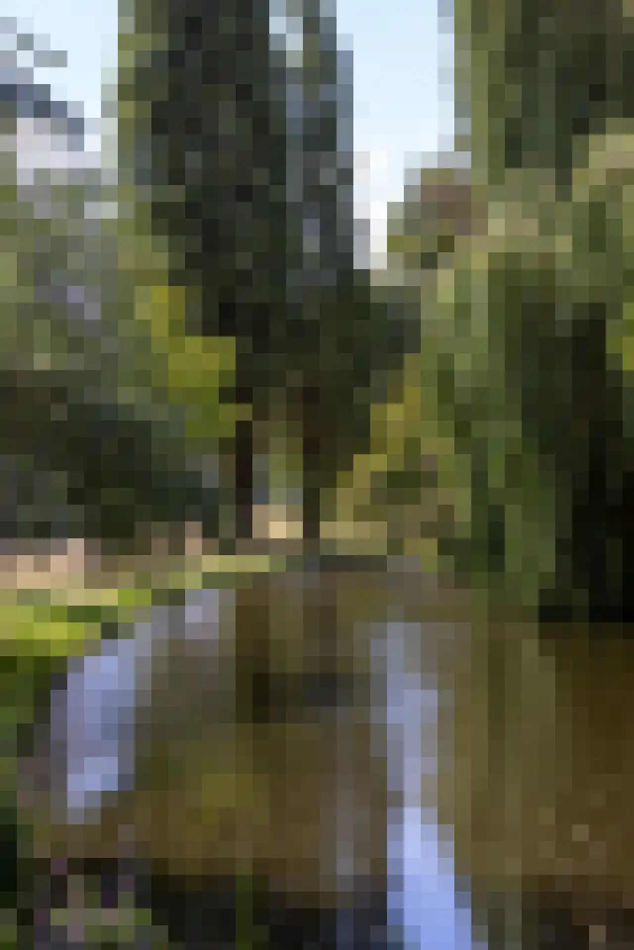 Provenierssingel 18 A Rotterdam thumbnail 44
