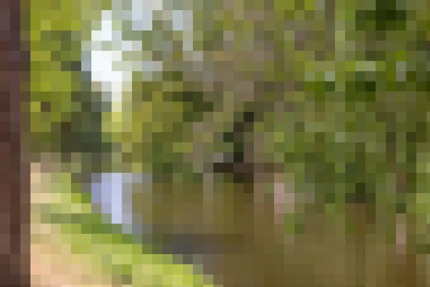 Provenierssingel 18 A Rotterdam thumbnail 46