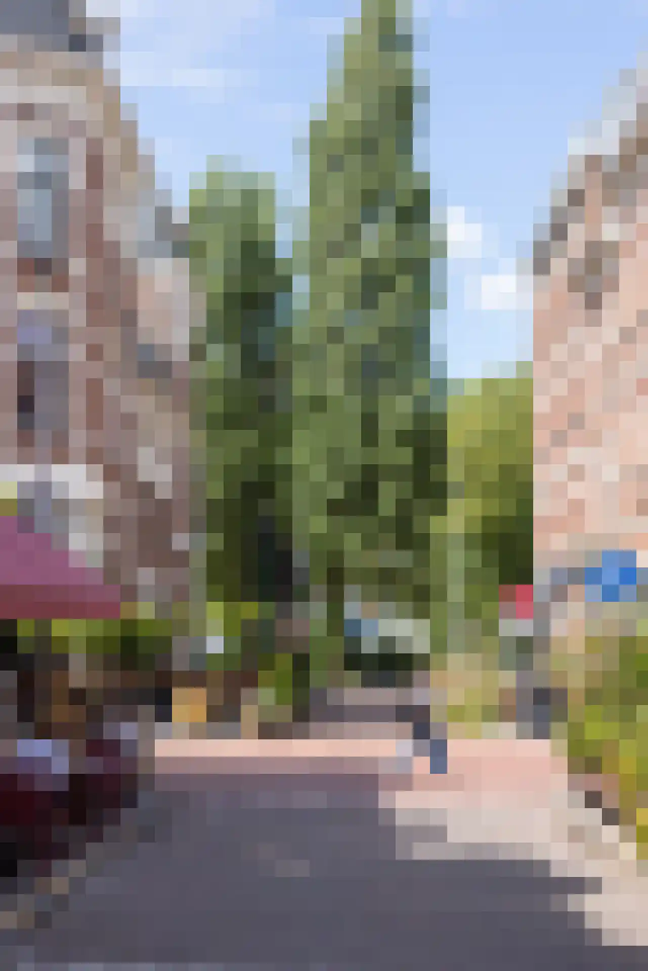 Provenierssingel 18 A Rotterdam thumbnail 48
