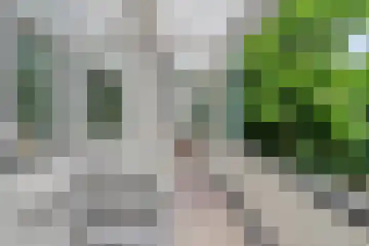 Provenierssingel 19 B Rotterdam thumbnail 10