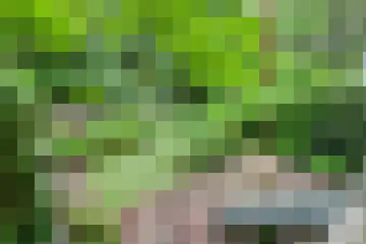 Provenierssingel 19 B Rotterdam thumbnail 12