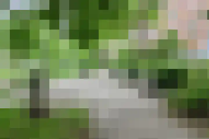 Provenierssingel 19 B Rotterdam thumbnail 27