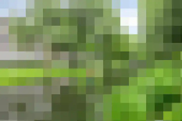 Provenierssingel 19 B Rotterdam thumbnail 28