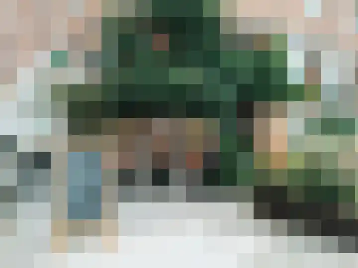 Provenierssingel 19 B Rotterdam thumbnail 30