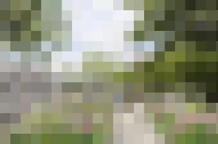 Provenierssingel 19 B Rotterdam thumbnail 31