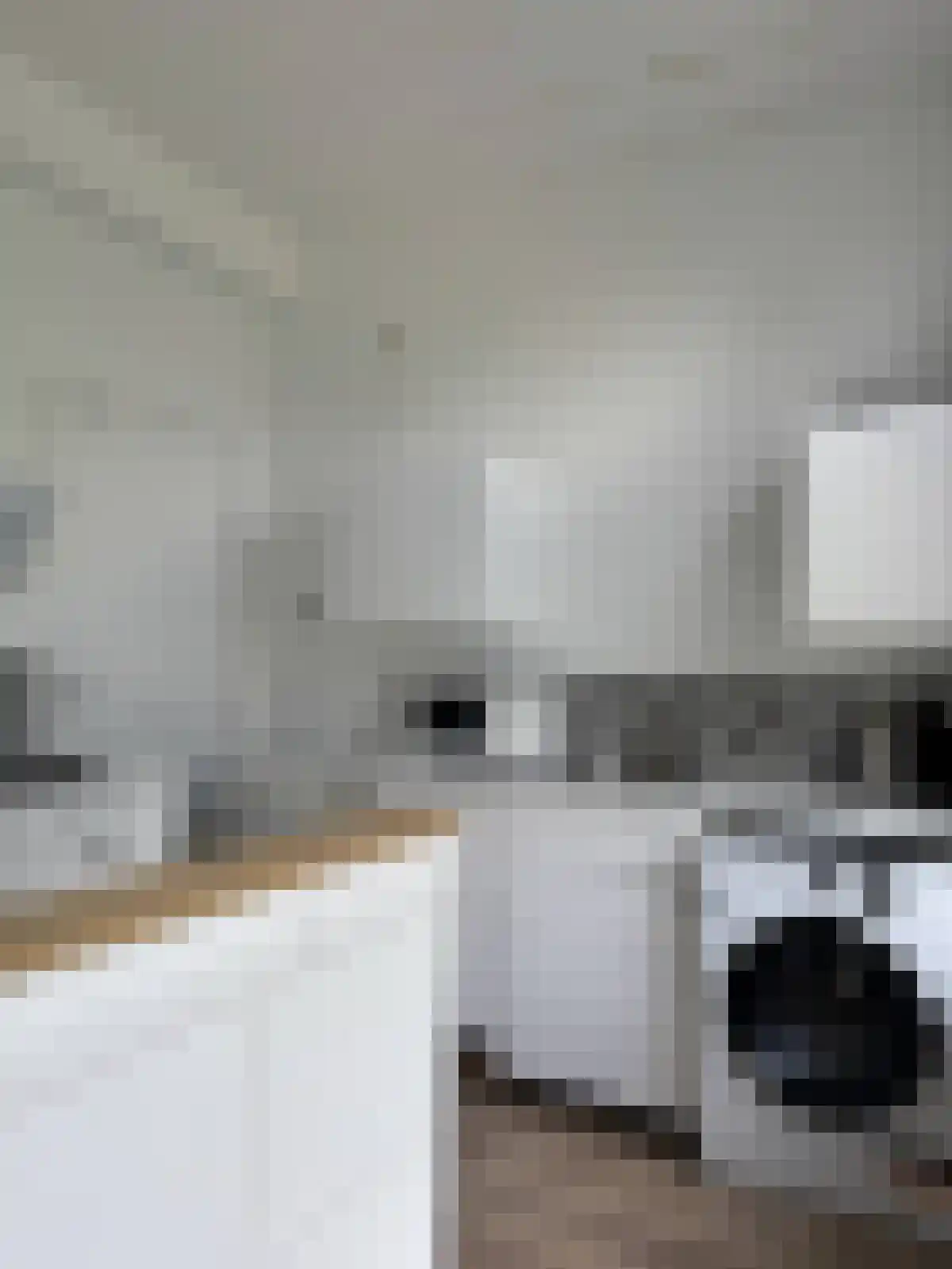 Provenierssingel 24 B Rotterdam thumbnail 6