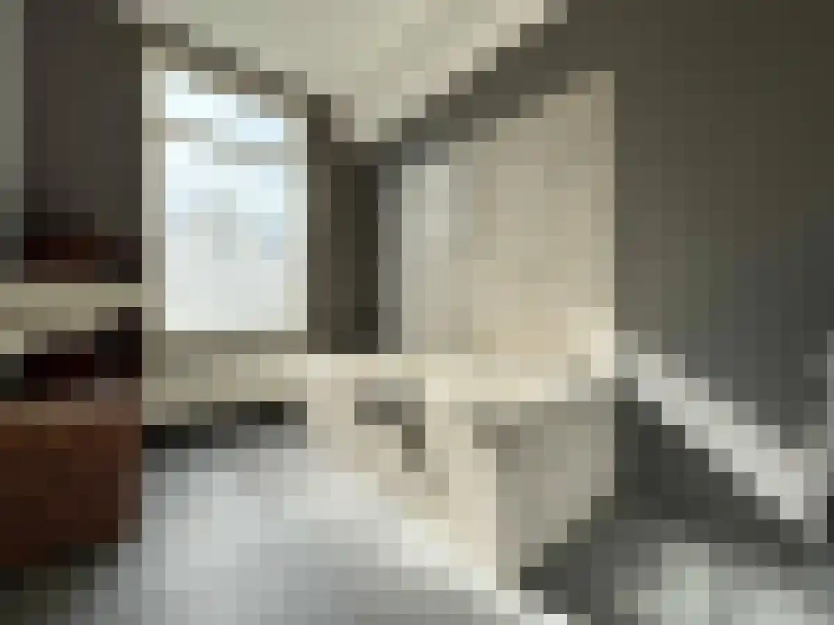 Provenierssingel 24 B02 Rotterdam thumbnail 4