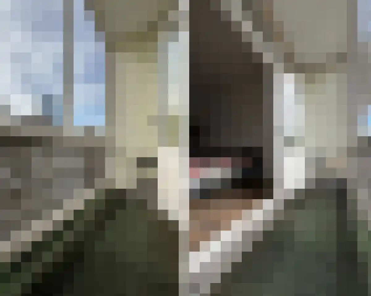 Provenierssingel 24 B02 Rotterdam thumbnail 5