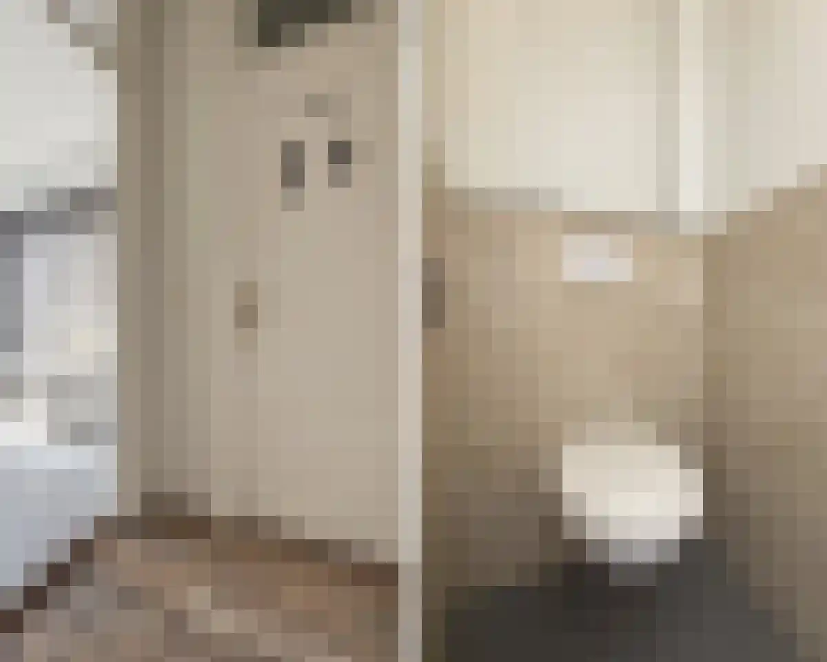 Provenierssingel 24 B02 Rotterdam thumbnail 6