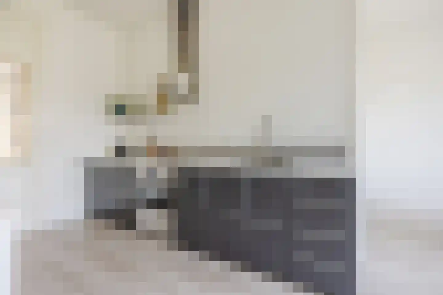 Provenierssingel 28 B Rotterdam thumbnail 11