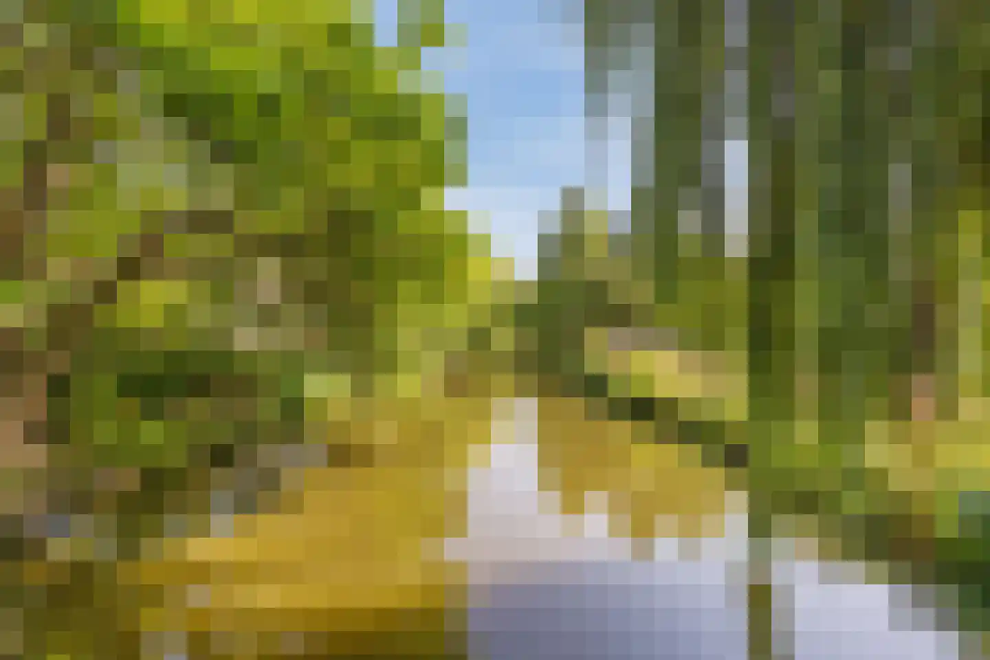 Provenierssingel 28 B Rotterdam thumbnail 29