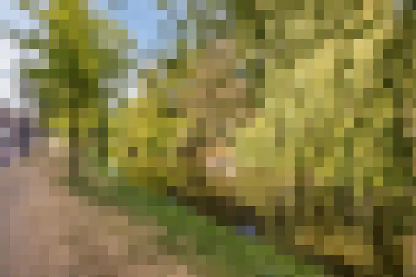 Provenierssingel 28 B Rotterdam thumbnail 32