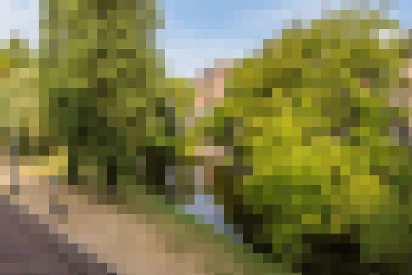 Provenierssingel 28 B Rotterdam thumbnail 4