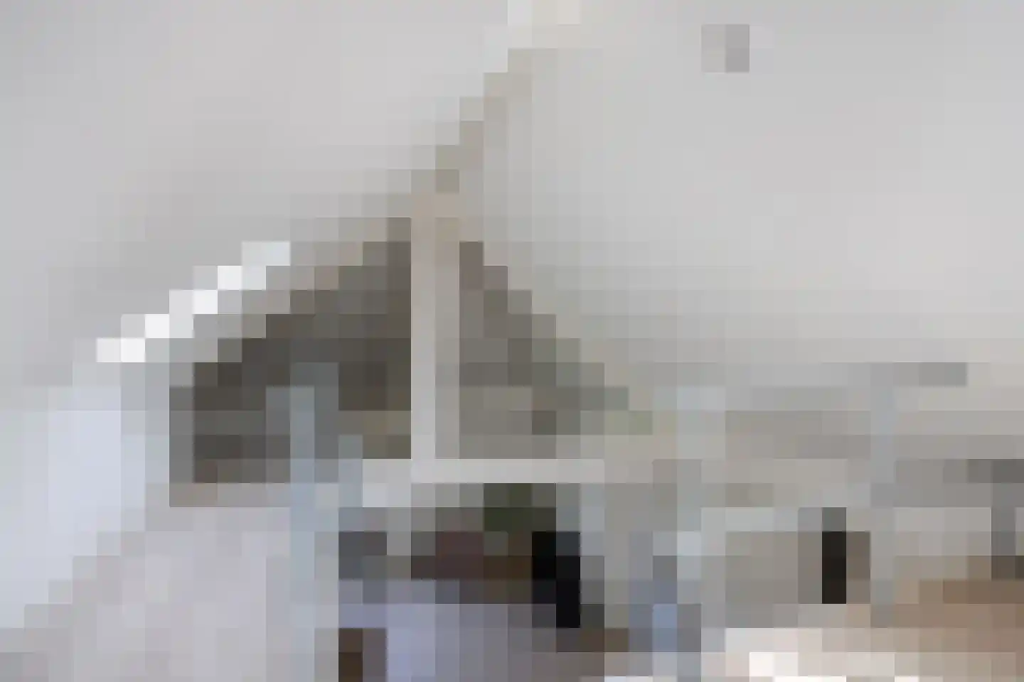Provenierssingel 28 C Rotterdam thumbnail 17