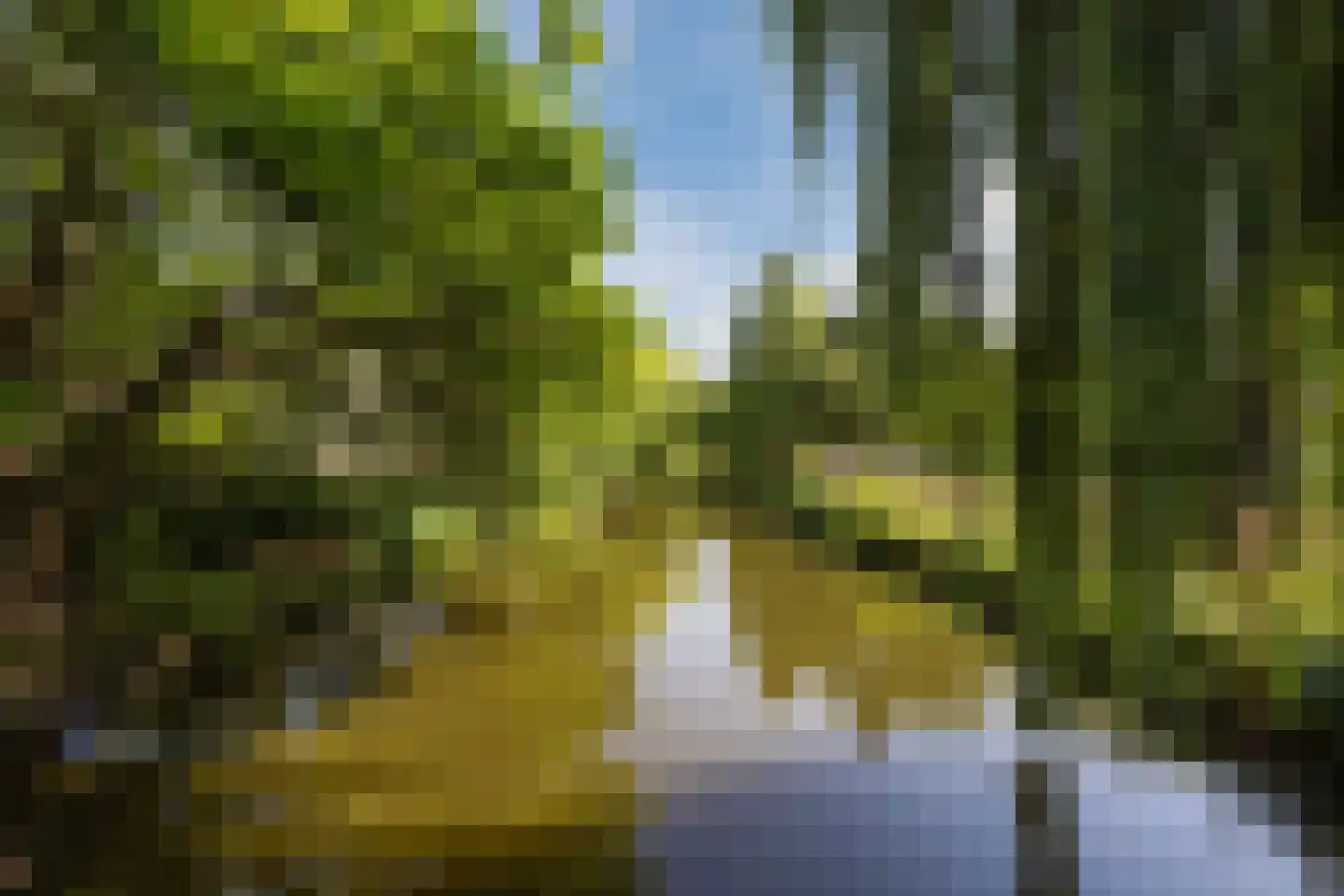 Provenierssingel 28 C Rotterdam thumbnail 29
