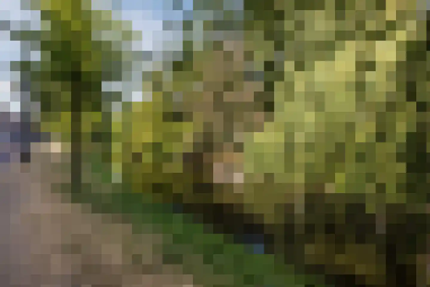Provenierssingel 28 C Rotterdam thumbnail 32