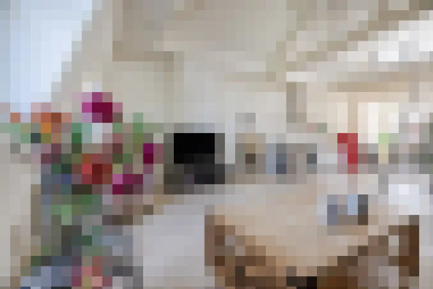 Provenierssingel 28 C Rotterdam thumbnail 7