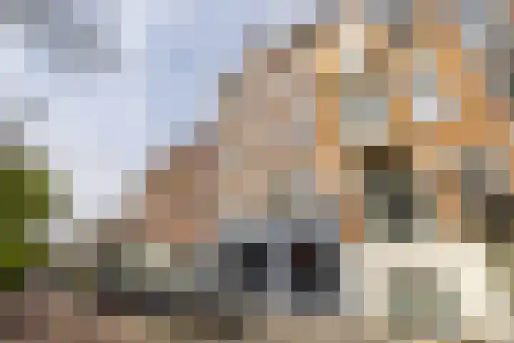 Provenierssingel 29 A in Rotterdam