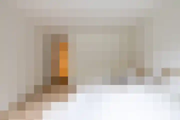 Provenierssingel 29 A Rotterdam thumbnail 17