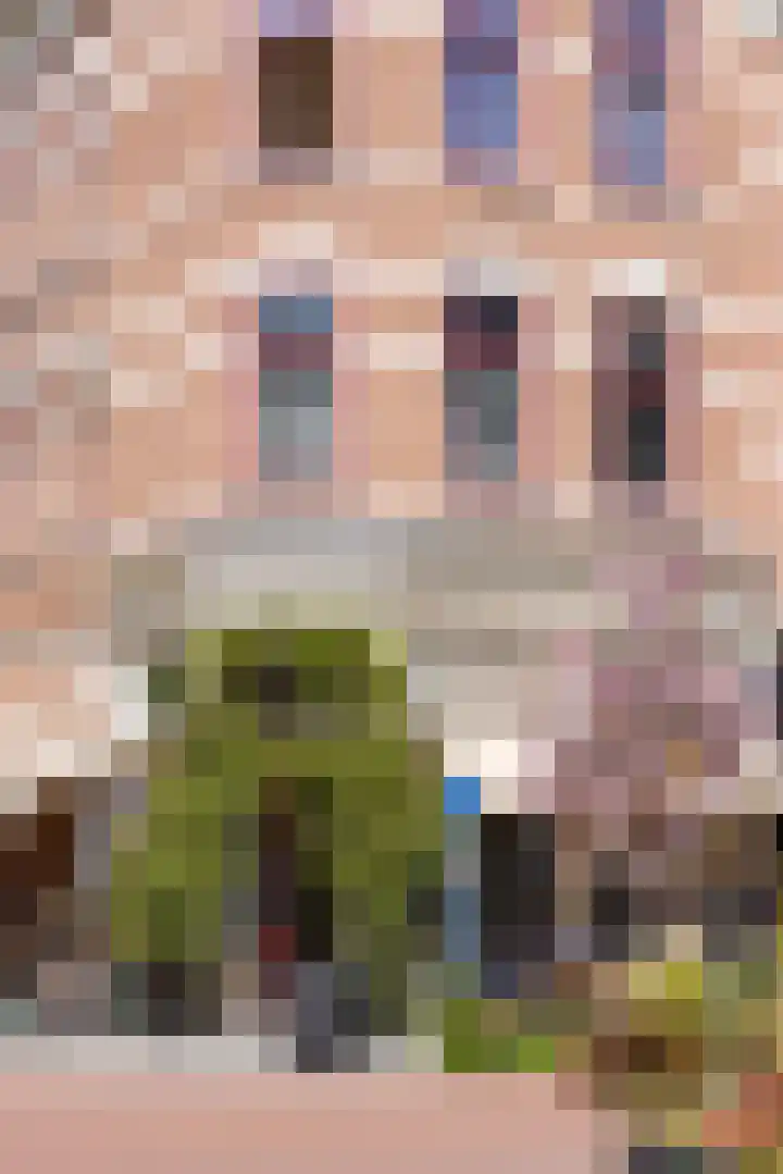 Provenierssingel 29 A Rotterdam thumbnail 20