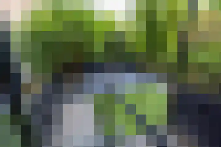 Provenierssingel 29 A Rotterdam thumbnail 24