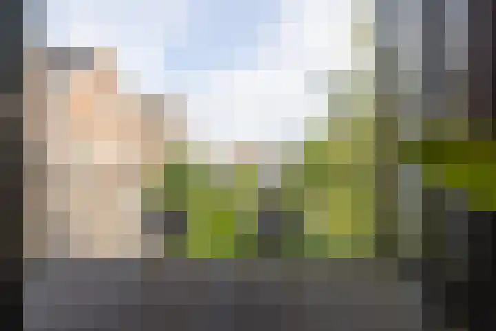 Provenierssingel 29 A Rotterdam thumbnail 4