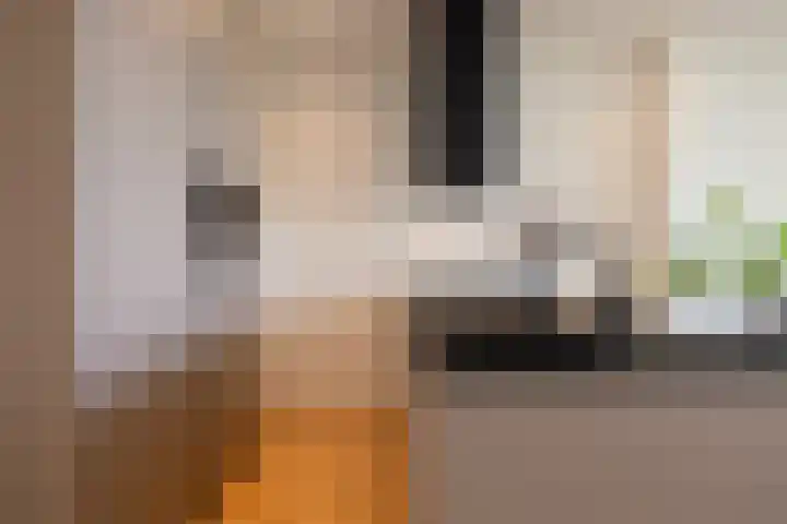 Provenierssingel 29 A Rotterdam thumbnail 6