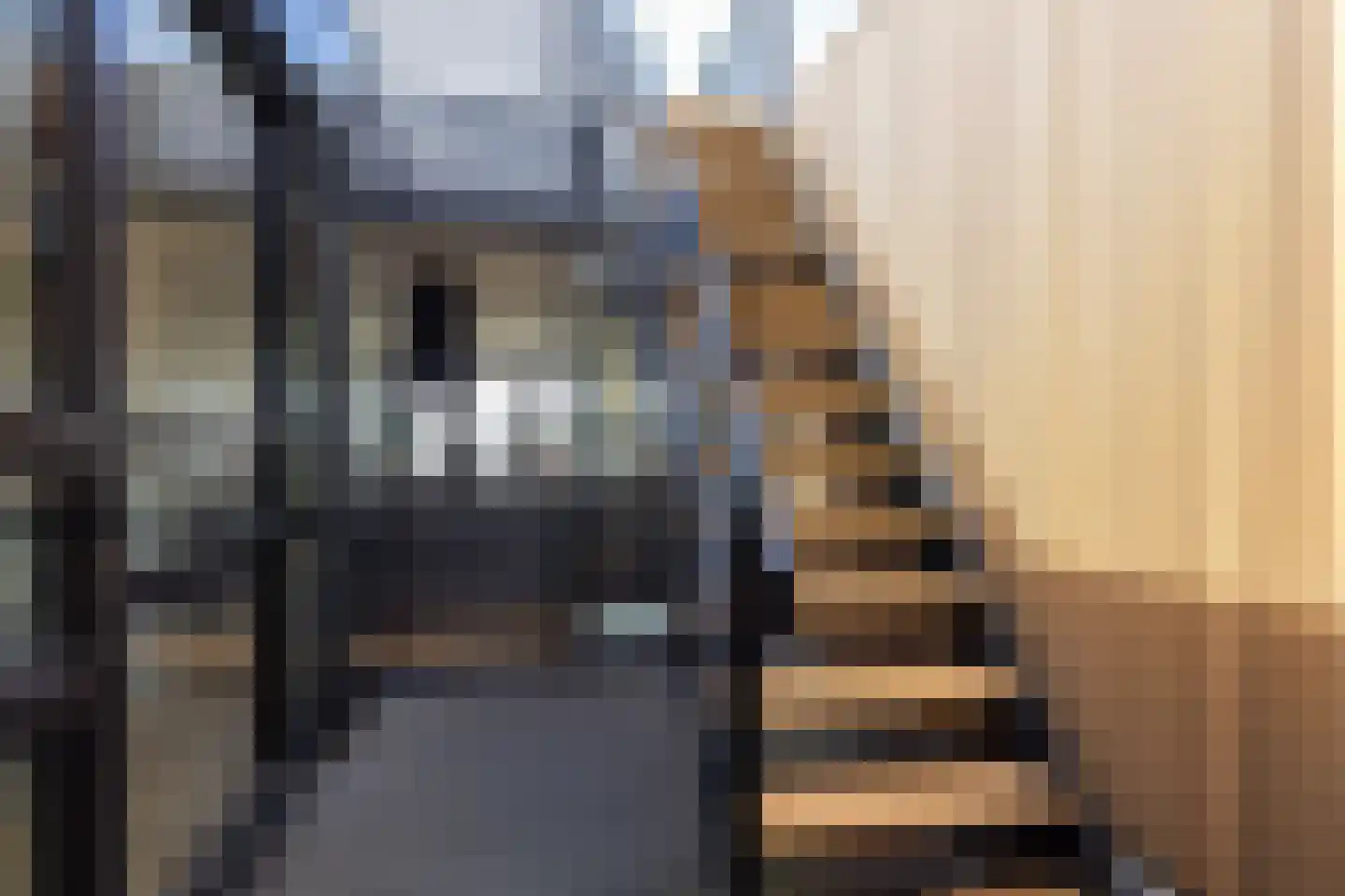 Provenierssingel 29 B Rotterdam thumbnail 18