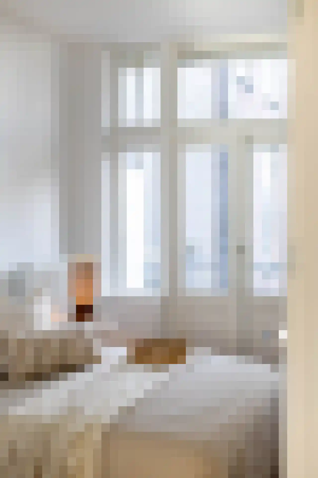 Provenierssingel 31 B Rotterdam thumbnail 13