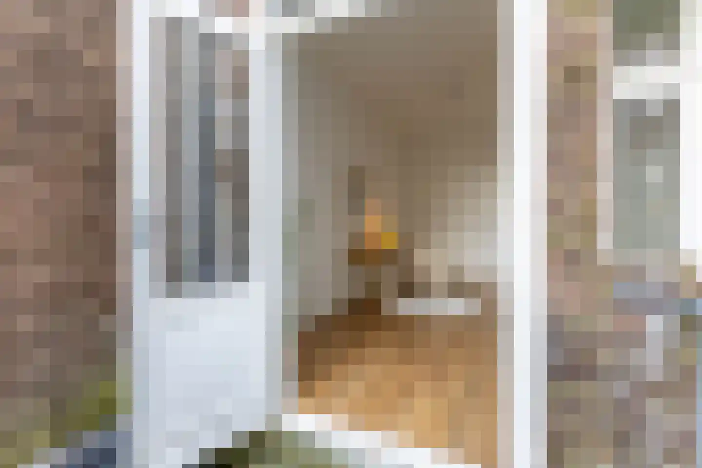 Provenierssingel 31 B Rotterdam thumbnail 18