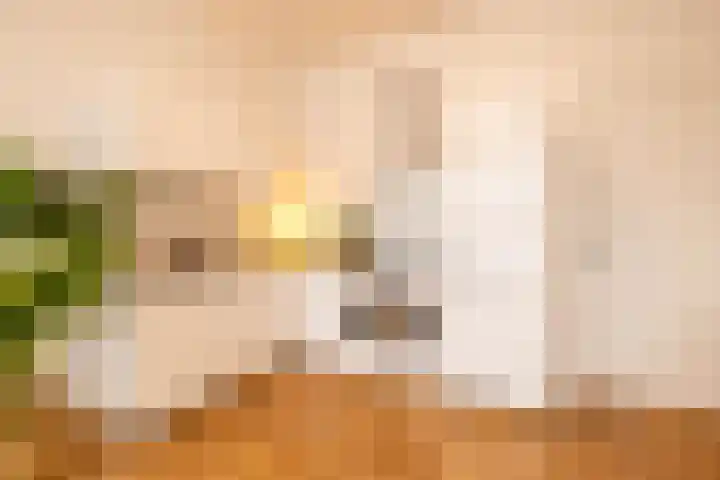 Provenierssingel 31 B Rotterdam thumbnail 7