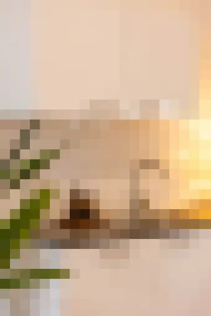 Provenierssingel 31 B Rotterdam thumbnail 8