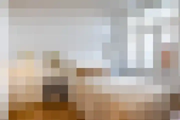 Provenierssingel 31 B Rotterdam thumbnail 9
