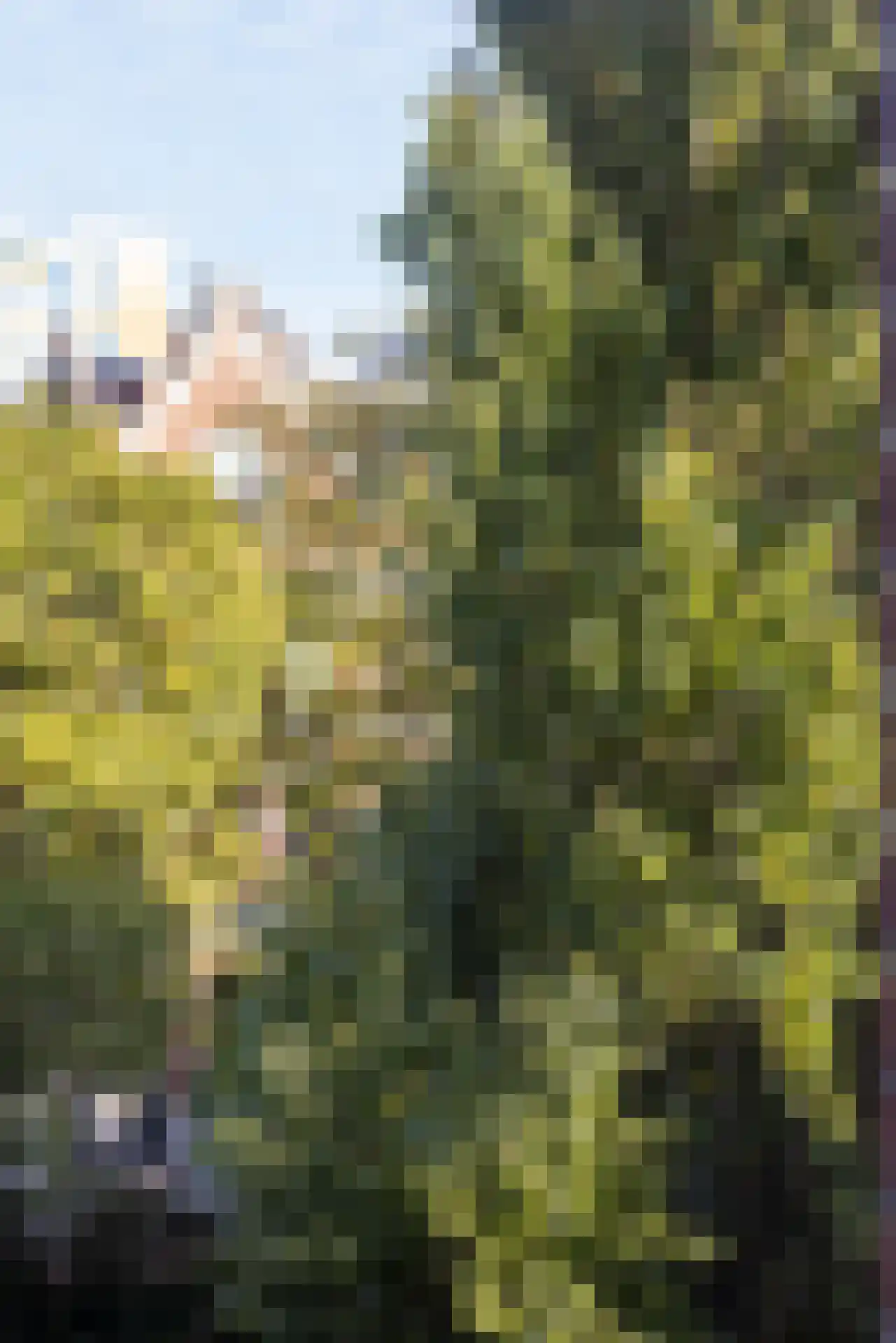 Provenierssingel 34 A Rotterdam thumbnail 11