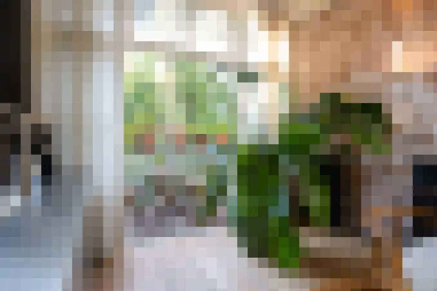 Provenierssingel 34 A Rotterdam thumbnail 19