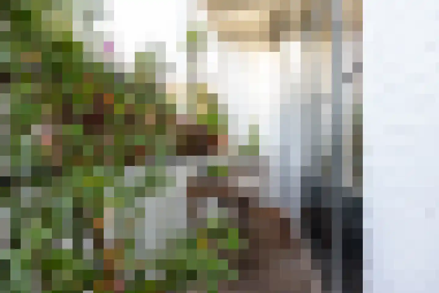 Provenierssingel 34 A Rotterdam thumbnail 20
