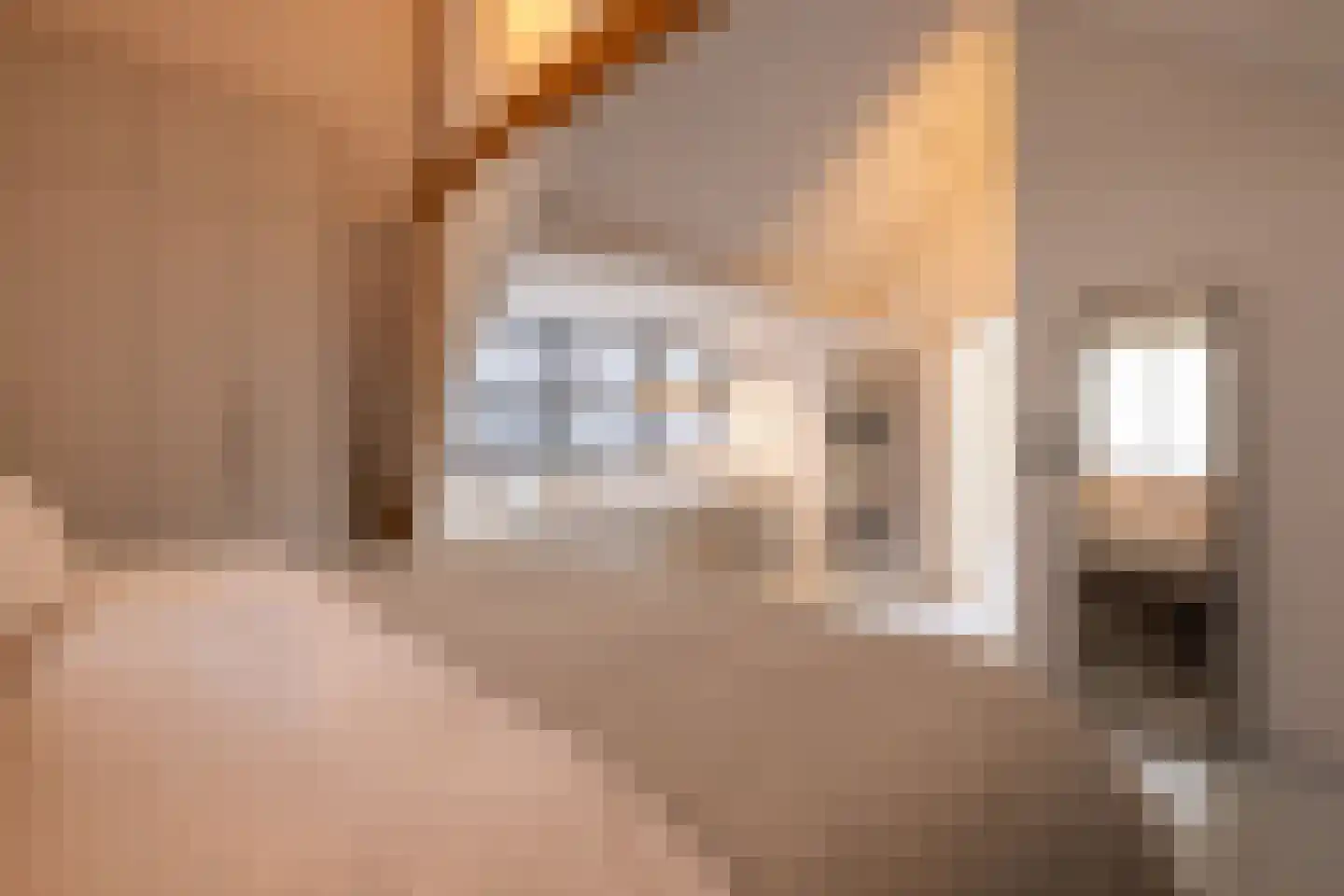 Provenierssingel 34 A Rotterdam thumbnail 31