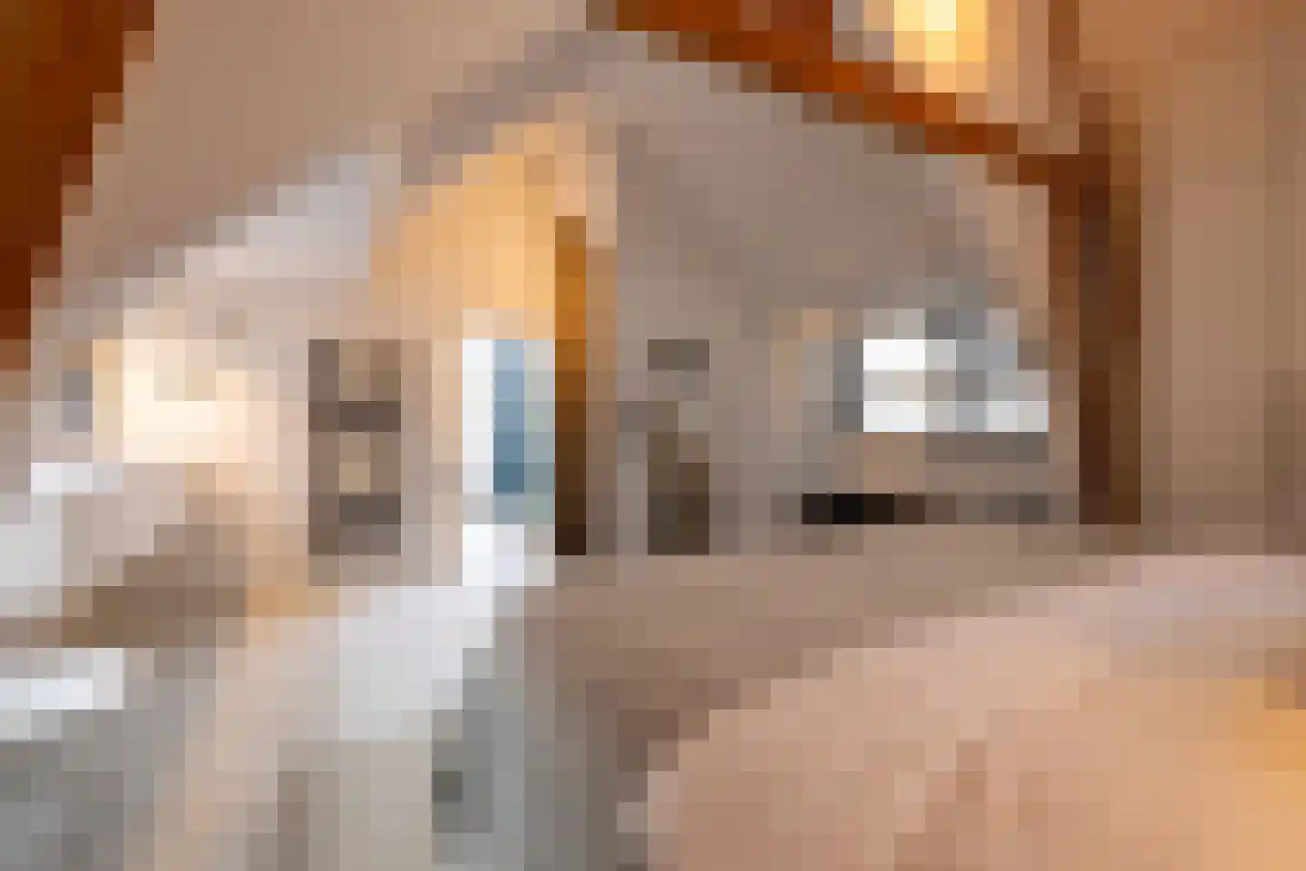Provenierssingel 34 A Rotterdam thumbnail 36