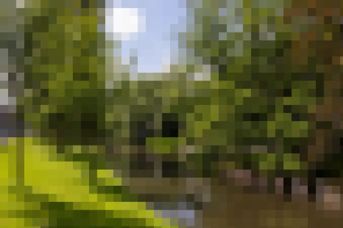 Provenierssingel 34 A Rotterdam thumbnail 54