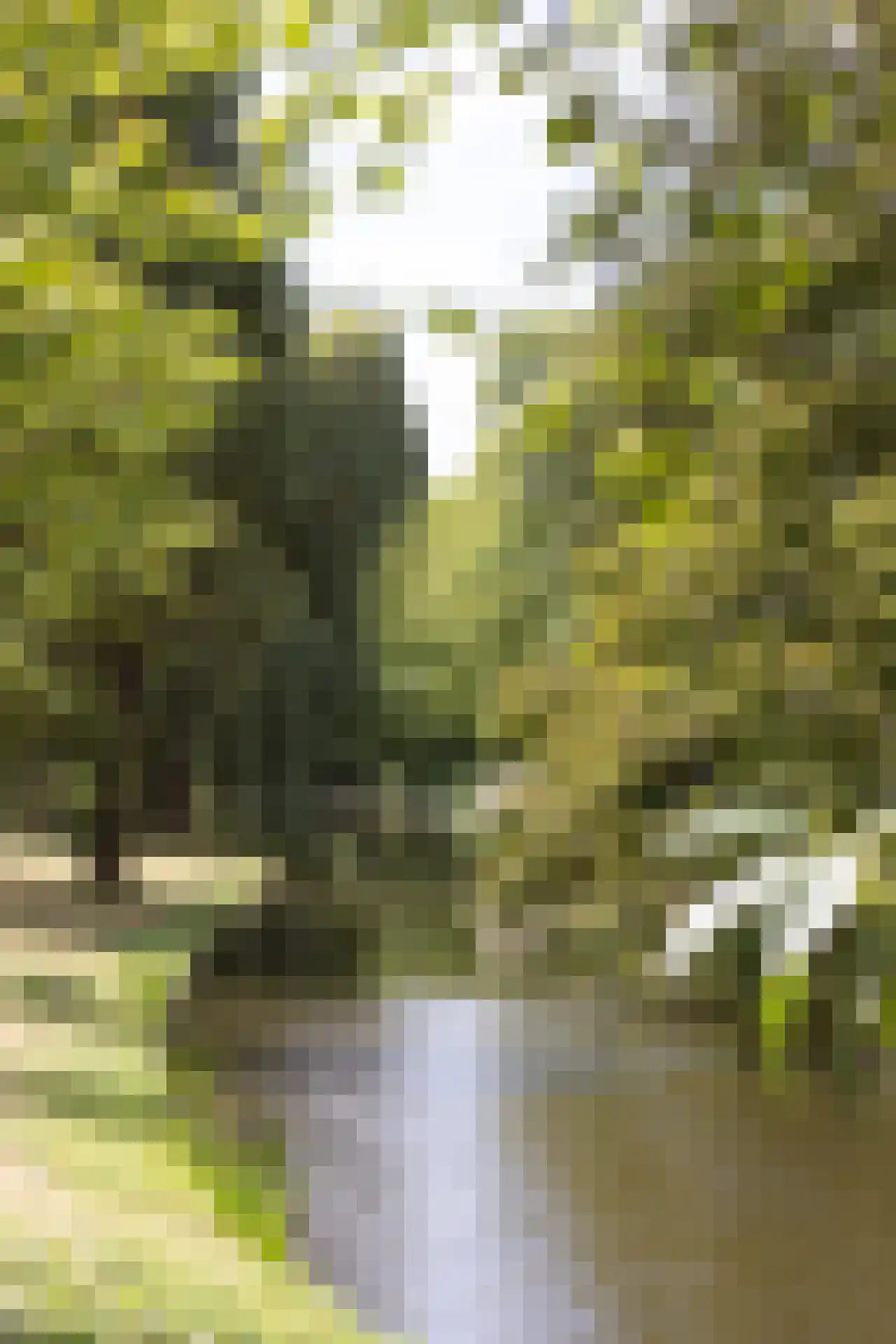 Provenierssingel 34 A Rotterdam thumbnail 55