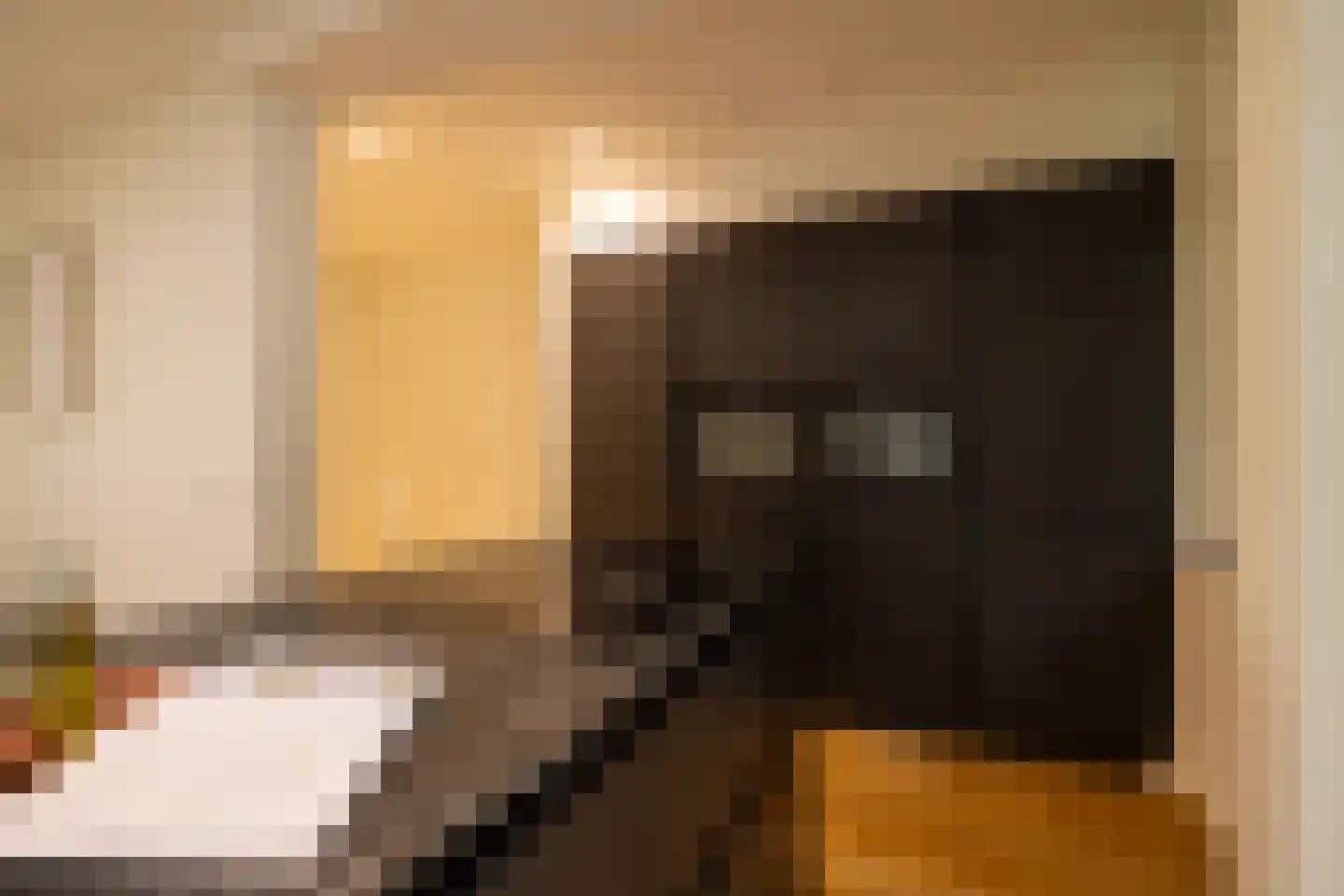 Provenierssingel 36 Rotterdam thumbnail 12