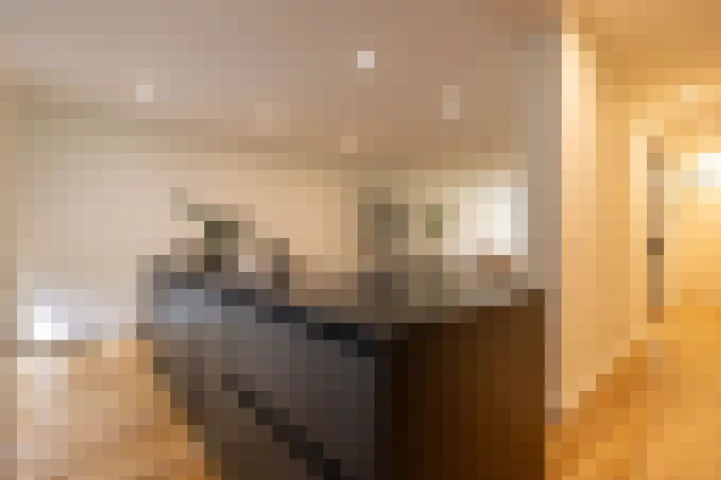 Provenierssingel 36 Rotterdam thumbnail 13