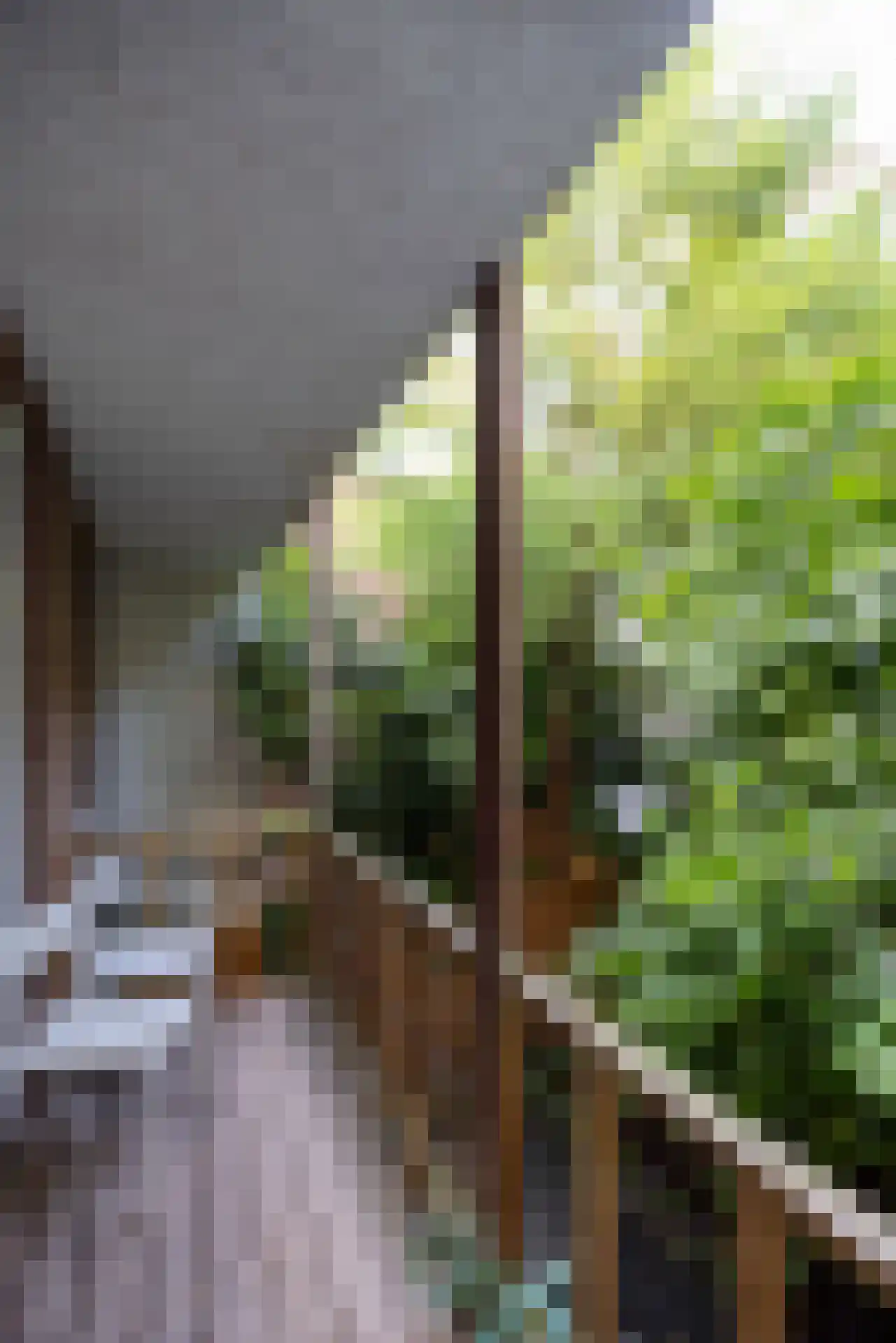 Provenierssingel 36 Rotterdam thumbnail 25