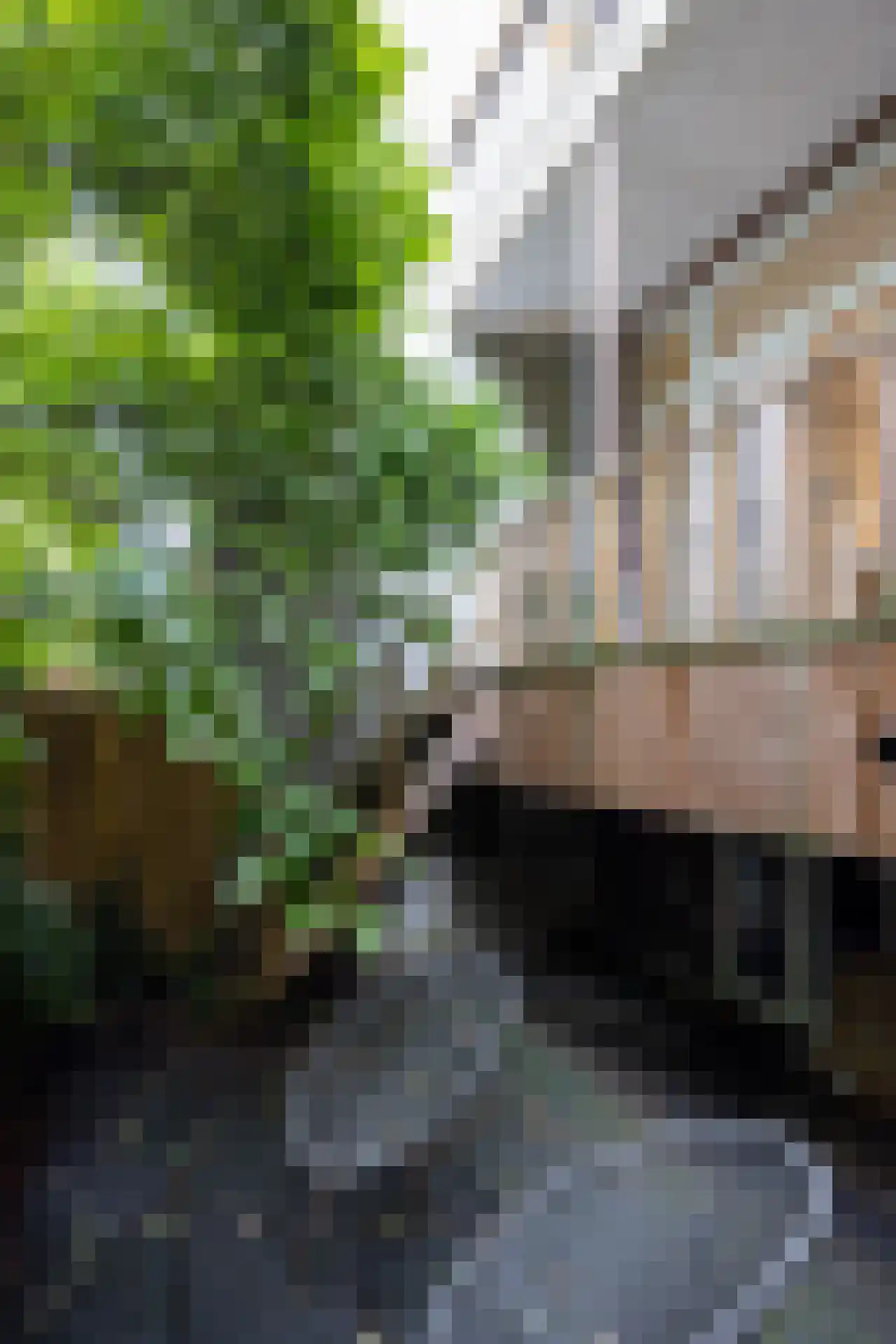 Provenierssingel 36 Rotterdam thumbnail 26