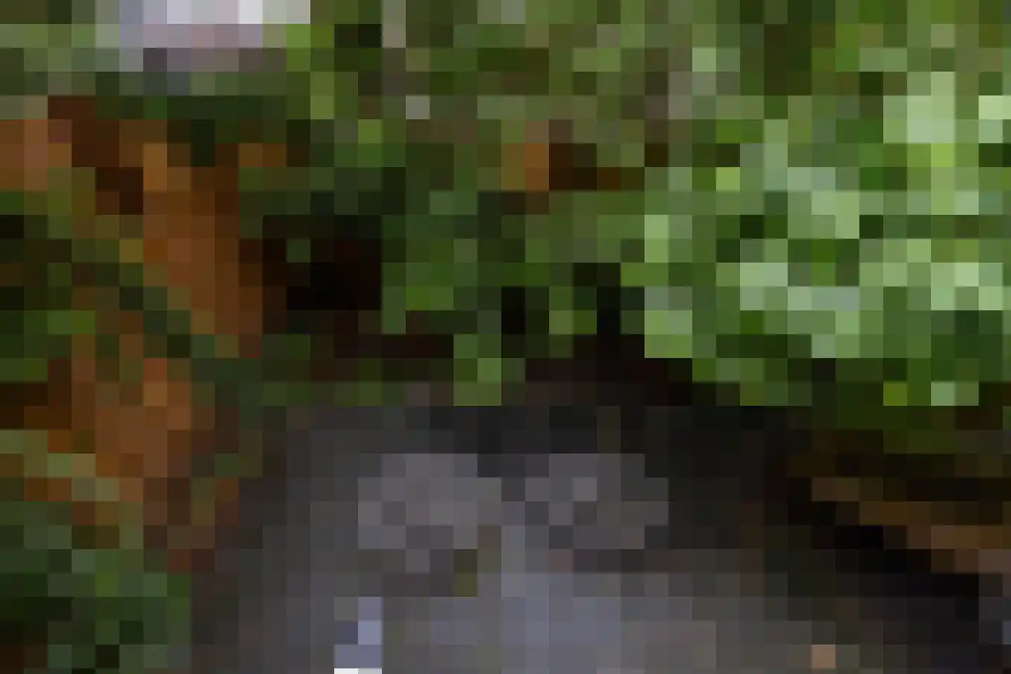 Provenierssingel 36 Rotterdam thumbnail 27